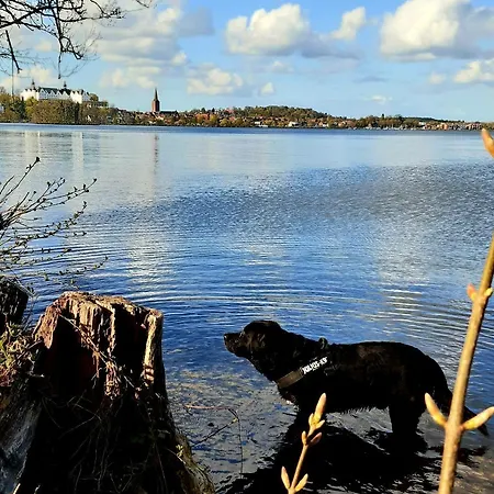 Exklusive Strohberg Lejlighed Plön