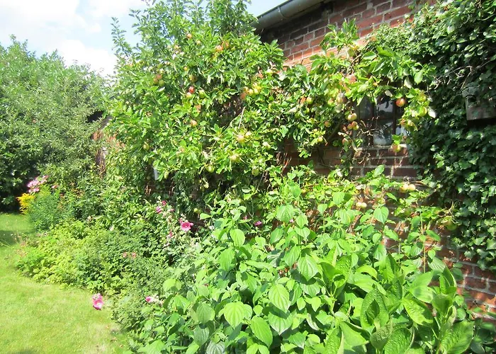 Exklusive Strohberg Appartamento Plön